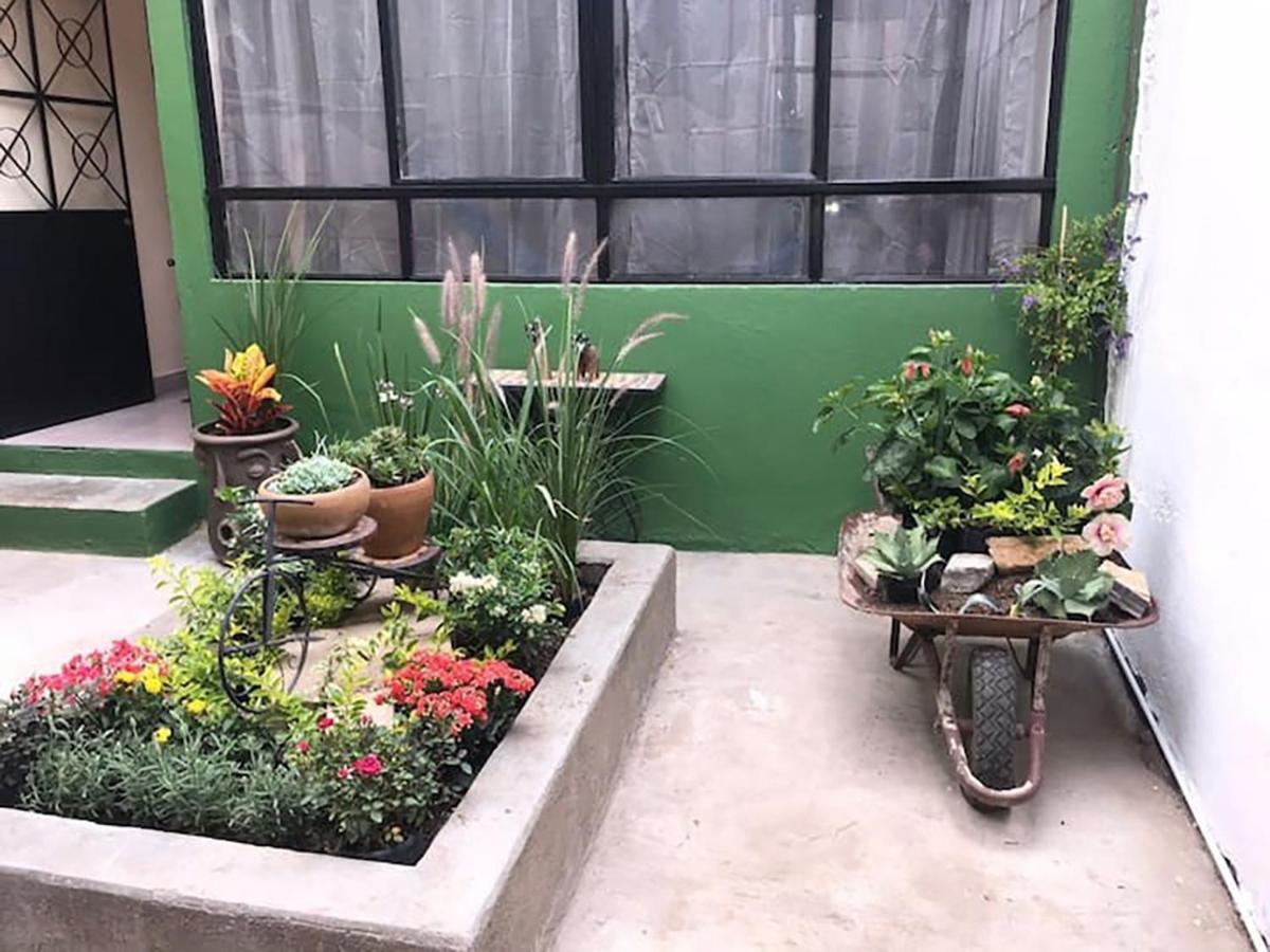 Casa Comoda Con Patio A 4 Cuadras De La Catedral. Oaxaca Exteriér fotografie